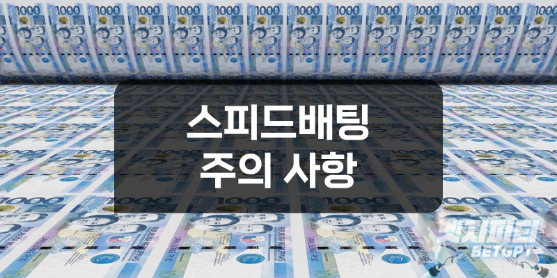 스피드배팅 이용 방법 및 주의 사항